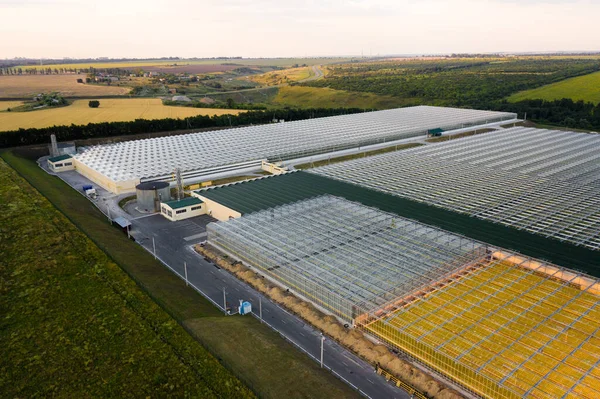 Aerial top view of greenhouse plant — Stock Photo, Image