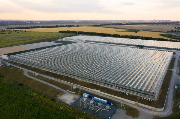 Aerial top view of greenhouse plant Stock Photo