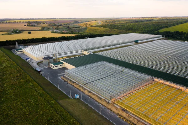 Aerial top view of greenhouse plant Royalty Free Stock Images