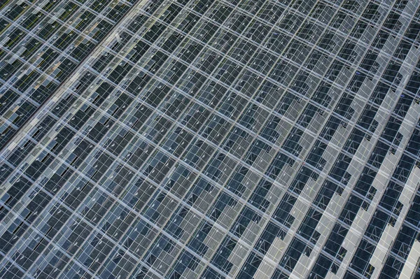 Pemandangan puncak udara dari tanaman rumah kaca Stok Gambar