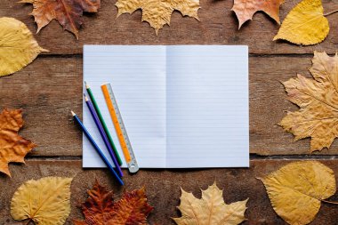 1 Eylül için duvar kağıdı. Ahşap arkaplanda kopyalama alanı olan sonbahar yaprakları.