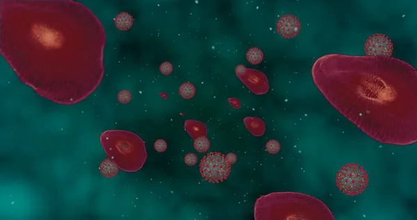 Hight Concentration Coronavirus Disease Covid 在显微镜下 一组动画病毒和红血球紧密相连 3D渲染3D插图 — 图库照片