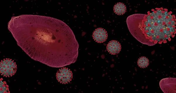 Hight Concentration Coronavirus Disease Covid Animation Group Viruses Red Blood — Stock Photo, Image