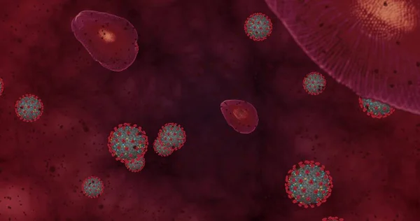 Höjdkoncentration Coronavirus Sjukdom Covid Animation Grupp Virus Och Röda Blodkroppar — Stockfoto