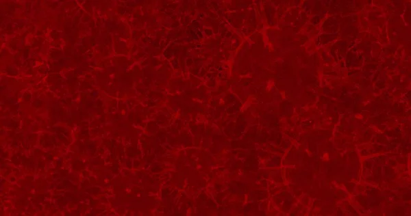 Коронавирусные Клетки Группа Вирусов Вызывающих Респираторные Инфекции Микроскопом Рендеринг — стоковое фото