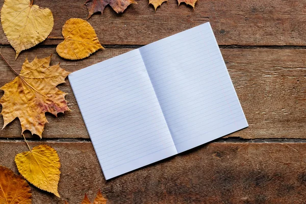 Papel Parede Para Setembro Folhas Outono Com Notebook Sobre Fundo — Fotografia de Stock