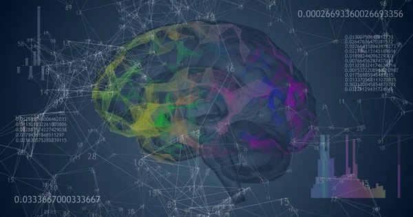 Rotating 360 Low Polygonal Brain Model Blue Background Animated Numbers — Stock Photo, Image