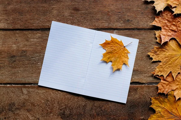 Wallpaper Voor September Herfst Bladeren Met Notebook Houten Achtergrond Met — Stockfoto