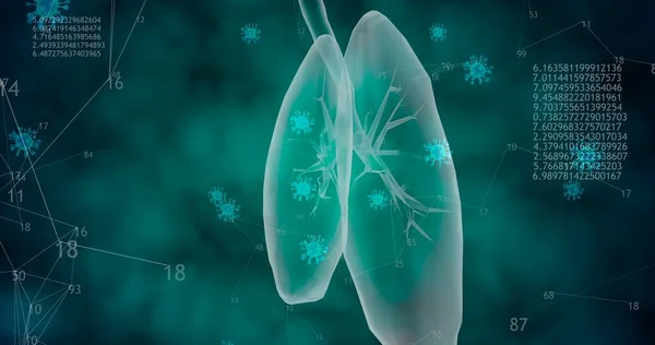 Wirusy Rozprzestrzeniają Się Ludzkim Ciele Model Płuca Wysokością Covid Stężenie — Zdjęcie stockowe