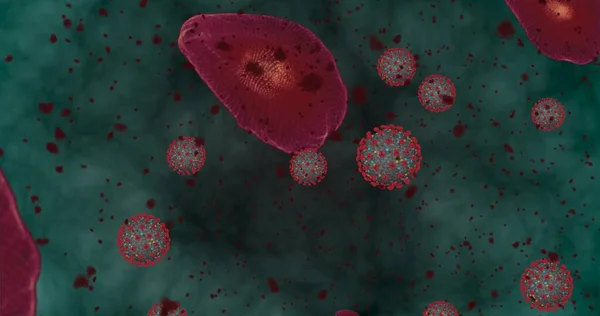 Hohe Konzentration Coronavirus Covid Animationsgruppe Von Viren Und Roten Blutkörperchen — Stockfoto