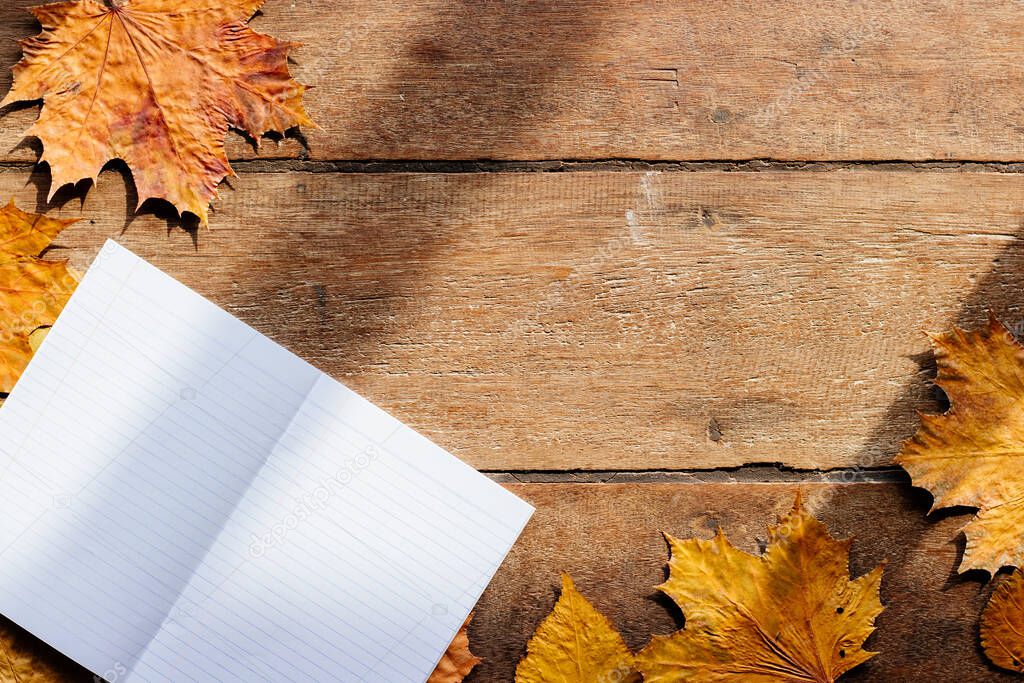 Wallpaper for September 1. Autumn leaves with notebook on wooden background with copy space.