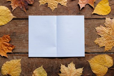 1 Eylül için duvar kağıdı. Tahta zemin üzerinde not defteriyle birlikte sonbahar yaprakları kopya alanı ile birlikte.