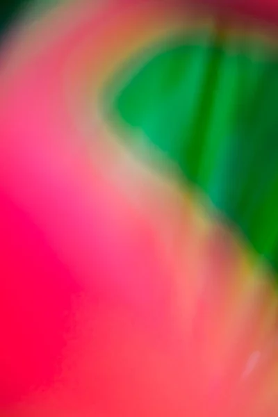 摘要植物的背景模糊不清 热带棕榈叶宏观摄影 网页设计的漂亮背景 — 图库照片