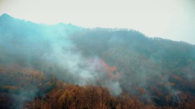 Orman yangını dumanı. Asya 'da ormanların yok edilmesi ve iklim krizi. Yaygın yağmur ormanı yangınlarından kaynaklanan zehirli sis. 