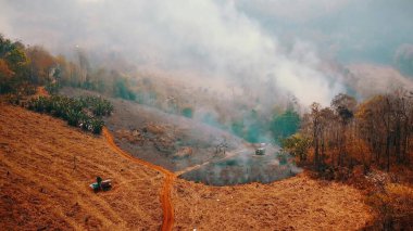 Orman yangını dumanı. Asya 'da ormanların yok edilmesi ve iklim krizi. Yaygın yağmur ormanı yangınlarından kaynaklanan zehirli sis. 