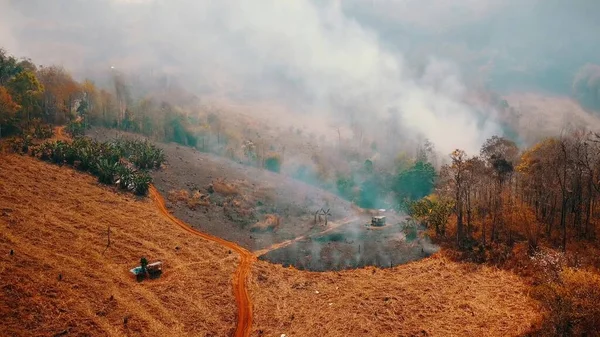 Смог Лісових Пожеж Знищення Лісів Криза Клімату Азії Токсичний Туман Стокове Фото