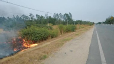 Milli parkın yakınındaki yolda çalılık ateşi. İklim değişikliği krizi. Kurak mevsimde kuru bitki yangını. Resim 4k