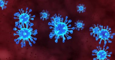 Coronavirus hücreleri. Solunum enfeksiyonlarına neden olan bir grup virüs. 3B görüntüleme döngüsü 4k