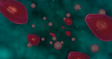 Yüksek konsantrasyon Coronavirus hastalığı Covid-19. Virüs ve kırmızı kan hücrelerinin oluşturduğu animasyon grubu yaklaşıyor. 3B görüntüleme 4k