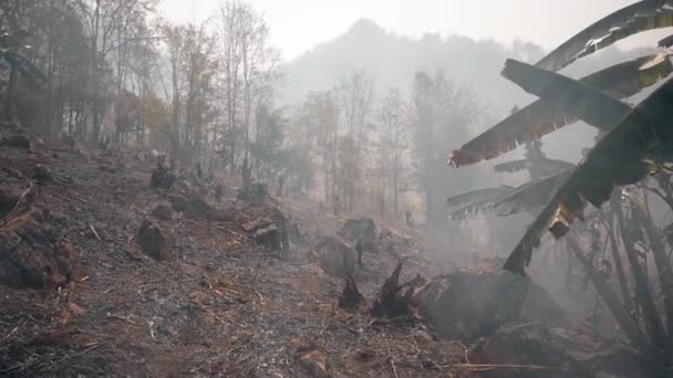 Crisis del calentamiento global. Cortar y quemar la agricultura. Cambio climático, deforestación. Filmación 4k — Vídeos de Stock