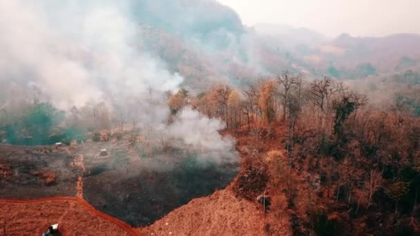 Cosecha ardiente en el campo. Cortar y quemar la crisis agrícola. Neblina tóxica de los campos. Vídeo aéreo 4k . — Vídeos de Stock