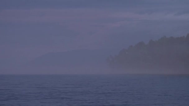 Mañana soleada y nebulosa sobre el río, niebla al sol. Una gaviota solitaria vuela. — Vídeos de Stock