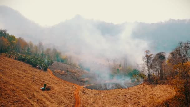 Cultures en feu à la campagne. Couper et brûler la crise agricole. Brume toxique provenant des champs. Vidéo aérienne 4k.