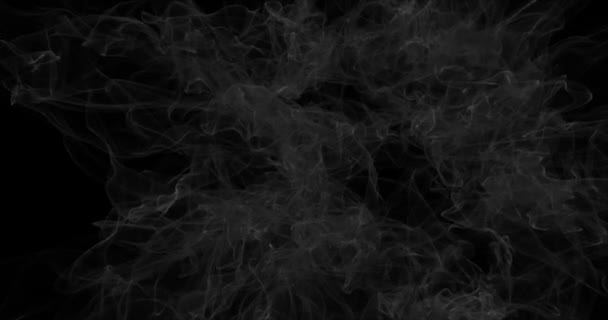 Pływający biały dym na czarnym tle. Suchy dym lodowy mgła Streszczenie chmury dymne. Mglista przeszłość. Pętla 4k — Wideo stockowe