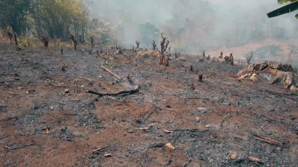 Crisis del calentamiento global. Cortar y quemar la agricultura. Cambio climático, deforestación. Filmación 4k — Vídeos de Stock