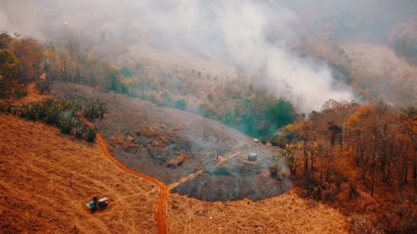 De opwarmingscrisis. Snijd en verbrand de landbouw. Klimaatverandering, ontbossing. Beelden 4k — Stockvideo