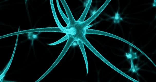 Siyah arkaplanda neon nöron hücreleri. Güvenilir animasyon 4k. — Stok video