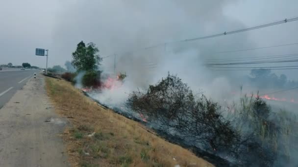 Bushfire près de la route dans le parc national. Crise du changement climatique. Feu de végétation sèche en saison sèche. Fotage 4k