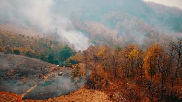 Égő termés vidéken. A mezőgazdaságot sújtó válság. Mérgező köd a mezőkről. Légi felvétel 4k. — Stock videók