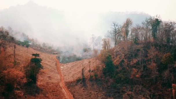 Coltivazione in fiamme in campagna. Crisi agricola ed ecosistemica. Nebbia tossica causata dal fuoco secco delle praterie. Video aereo 4k. — Video Stock