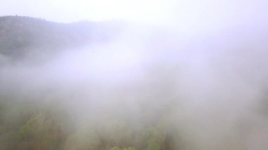Orman yangını dumanı. Ormanların tahrip edilmesi ve iklim krizi. Yağmur ormanlarındaki yangınlardan kaynaklanan zehirli sis. Hava videosu 4k.