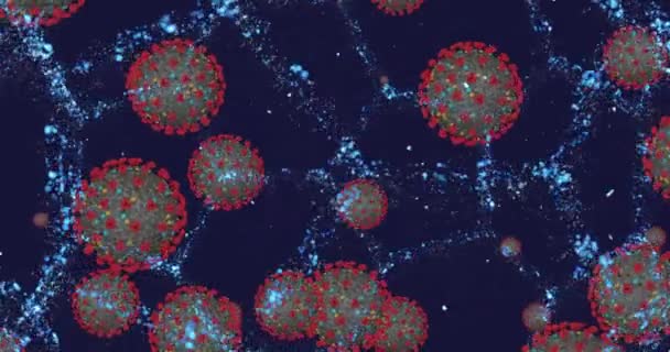 Коронавирусные клетки COVID-19 инфекционное заболевание. Быстрая передача болезни. Высокая концентрация коронавируса. Цикл 3D рендеринга 4k — стоковое видео