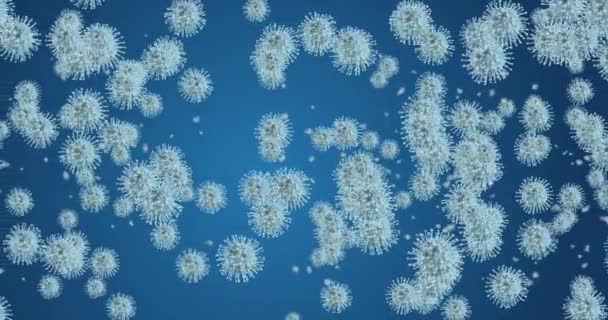 コロナウイルス細胞。呼吸器感染症を引き起こすウイルスのアニメーショングループ。3Dレンダリングループ4k — ストック動画