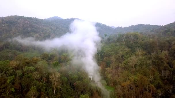 Le smog des feux de forêt. Déforestation et crise climatique. Brume toxique provenant des feux de forêt tropicale. Vidéo aérienne 4k. — Video