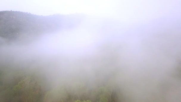 Smog pożarów lasów. Wylesianie i kryzys klimatyczny. Toksyczna mgła od pożarów lasów deszczowych. Nagranie lotnicze 4k. — Wideo stockowe