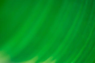 Soyut çiçekli bulanık arkaplan. Tropik avuç içi makro fotoğrafçılığı bırakır. Web tasarımı için güzel arkaplan