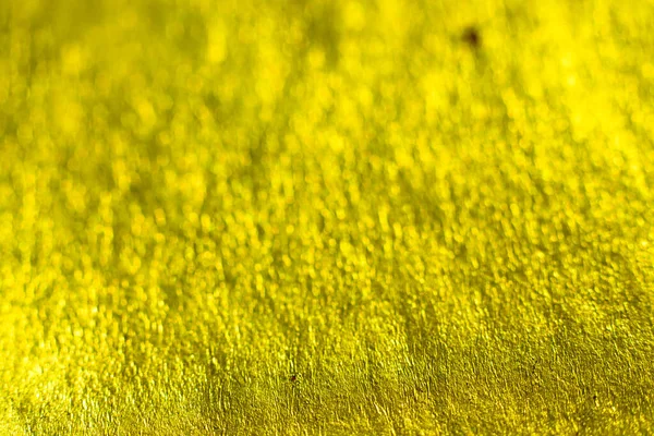 Gouden Glitter Textuur Feestelijke Sprankelende Pailletten Achtergrond Closeup Briljant Glanzend — Stockfoto