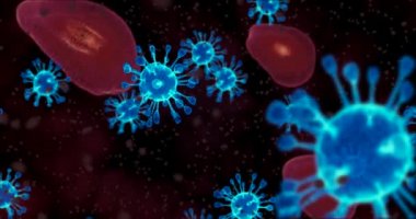 Coronavirus hücreleri. Mikroskop altında solunum enfeksiyonlarına neden olan bir virüs grubu. 3B görüntüleme döngüsü 4k