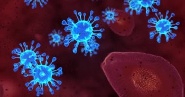 Coronavirus hücreleri. Mikroskop altında solunum enfeksiyonlarına neden olan bir virüs grubu. 3B görüntüleme döngüsü 4k