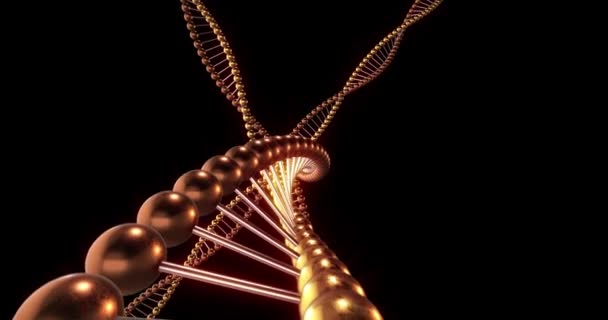 带Alpha通道掩蔽、无缝循环的黑色背景3D渲染4k环上DNA分子的Srls — 图库视频影像