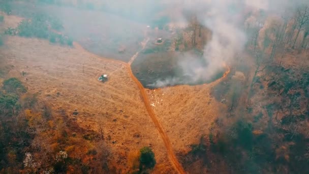 Klimaatcrisis Big Flame Het Nationale Park Tijdens Het Droge Seizoen — Stockvideo