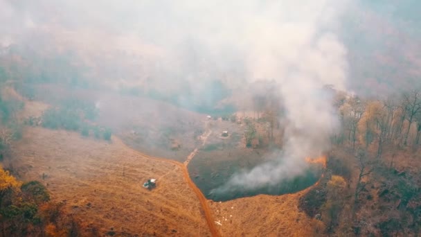 气候危机 大火在国家公园的旱季 森林被森林大火摧毁 图象4K — 图库视频影像