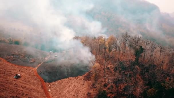 Klimatická Krize Velký Plamen Národním Parku Během Období Sucha Ničení — Stock video