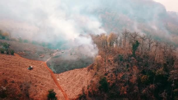 Pálení Úrody Venkově Hospodářská Ekosystémová Krize Toxický Opar Suchých Travních — Stock video