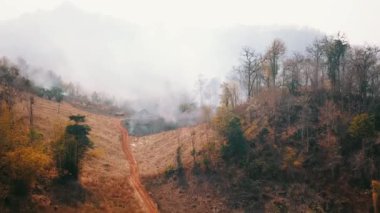 Kırsal kesimde mahsul yakmak. Çiftlik ve ekosistem krizi. Kuru çayır yangınından kaynaklanan zehirli sis. Hava videosu 4k.