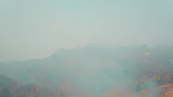 森林火災のスモッグ アジアの森林破壊と気候危機 広範な熱帯雨林の火災からの毒性の煙霧 空中ビデオ4K — ストック動画